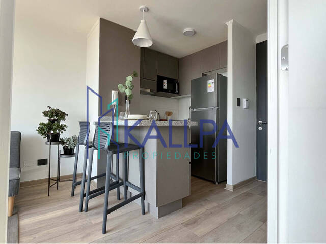 #117 - Departamento para Arriendo en Santiago - XIII - 3