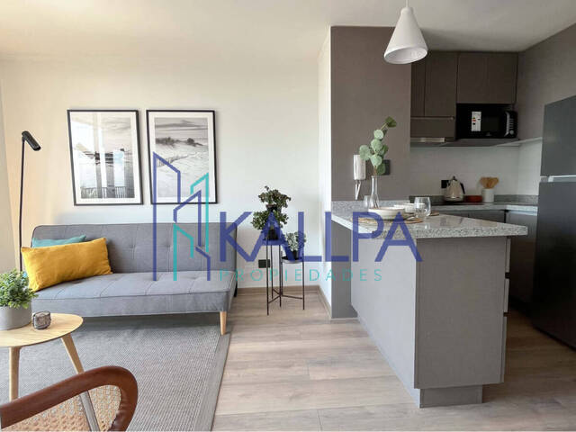 #117 - Departamento para Arriendo en Santiago - XIII - 2