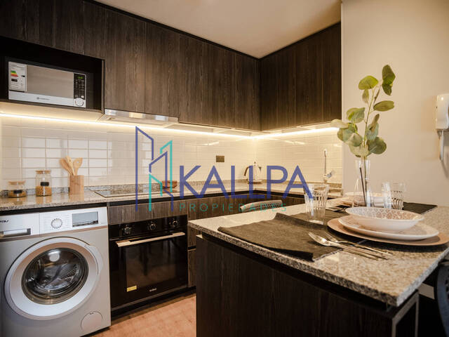 #120 - Departamento para Arriendo en Santiago - XIII - 2