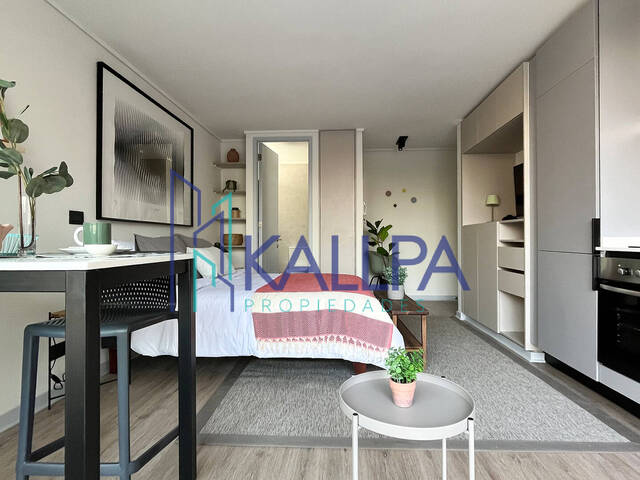 #122 - Departamento para Arriendo en Santiago - XIII - 2