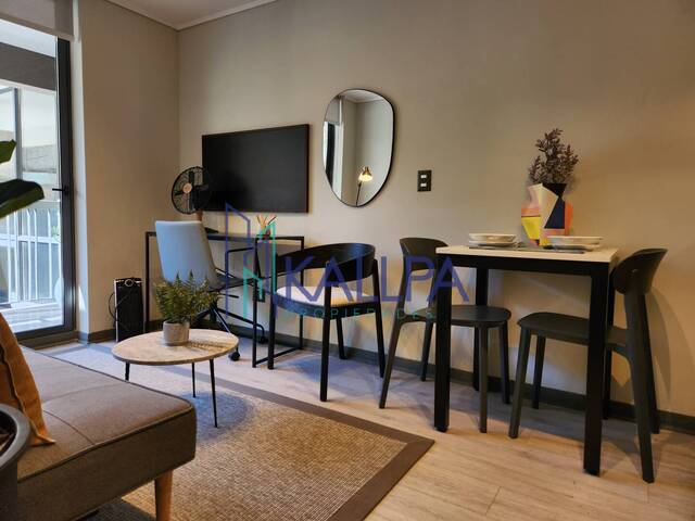 #133 - Departamento para Arriendo en Santiago - XIII