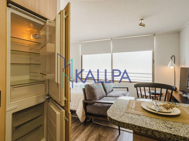 #143 - Departamento para Arriendo en Santiago - XIII - 2
