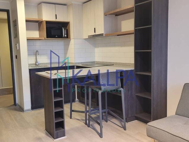 #149 - Departamento para Arriendo en Santiago - XIII