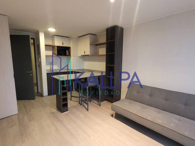 #149 - Departamento para Arriendo en Santiago - XIII