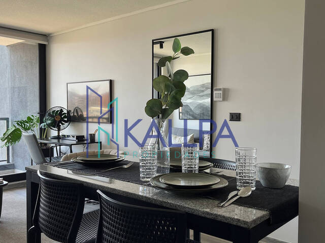 #150 - Departamento para Arriendo en Santiago - XIII - 3
