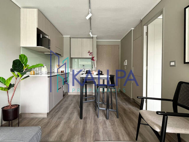 #157 - Departamento para Arriendo en Santiago - XIII
