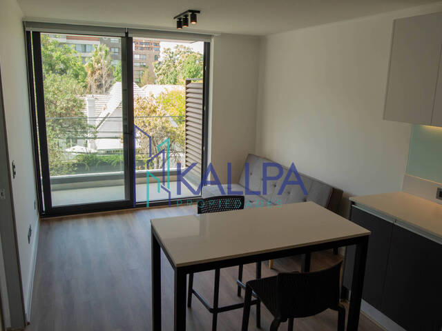 #159 - Departamento para Arriendo en Providencia - XIII - 2