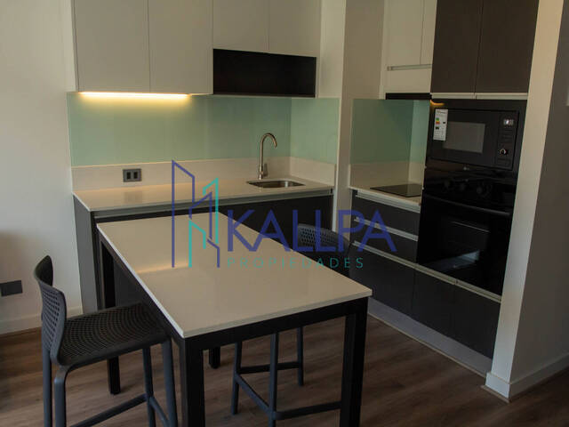 #159 - Departamento para Arriendo en Providencia - XIII - 3