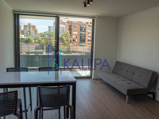 #161 - Departamento para Arriendo en Providencia - XIII - 2