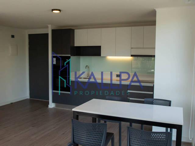 #161 - Departamento para Arriendo en Providencia - XIII - 3