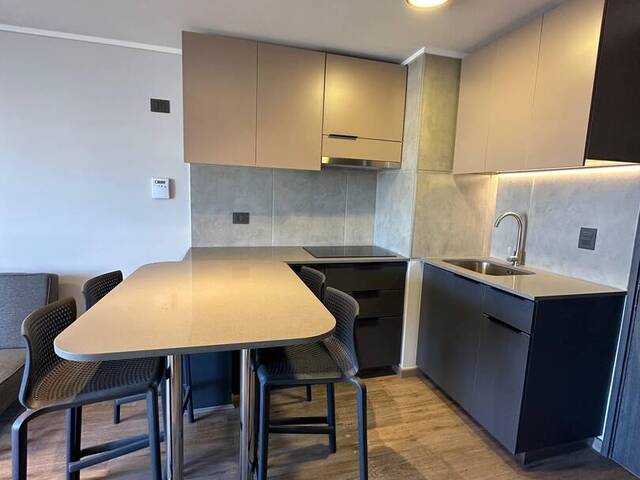 #192 - Departamento para Venta en Santiago - XIII